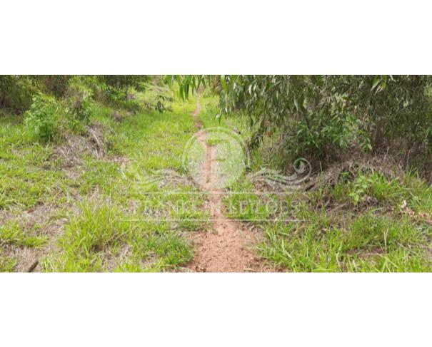 Foto de ÁREA RURAL 10,0460 HA - FAZENDA CABECEIRA DO LAGEADO - BATISTA BOTELHO 