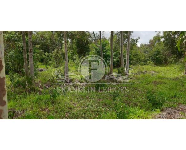 Foto de ÁREA RURAL 10,0460 HA - FAZENDA CABECEIRA DO LAGEADO - BATISTA BOTELHO 